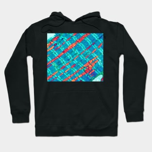 Cardiac muscle, TEM (P154/0270) Hoodie